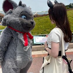 去年の夏