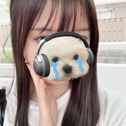 いつもありがとうございます！