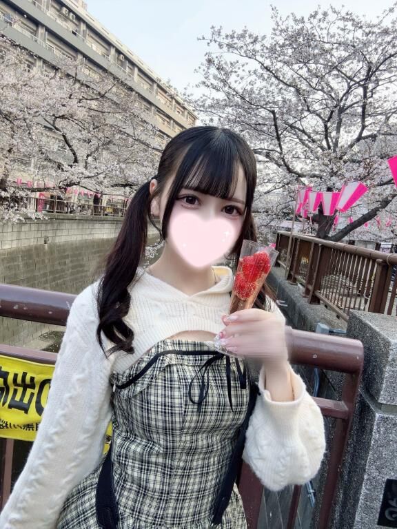 お花見してきたよー