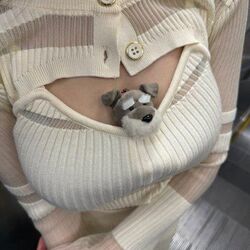 シュナウザー?