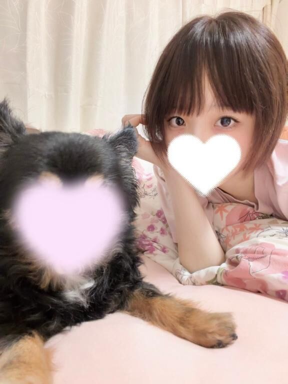 愛犬とのんびり