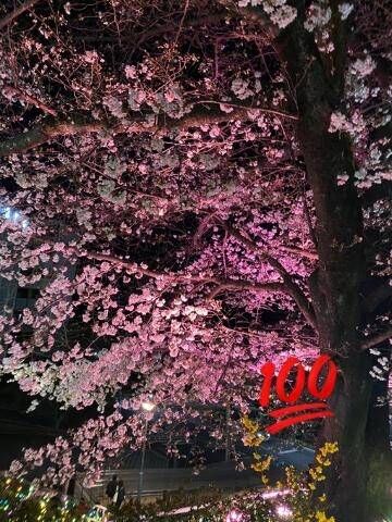 次回出勤は4/2(日)です！
